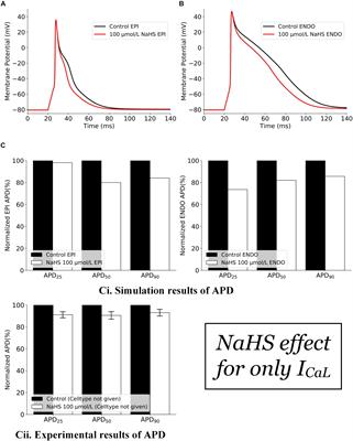 Pro-arrhythmic Effects of Hydrogen Sulfide in Healthy and Ischemic Cardiac Tissues: Insight From a Simulation Study